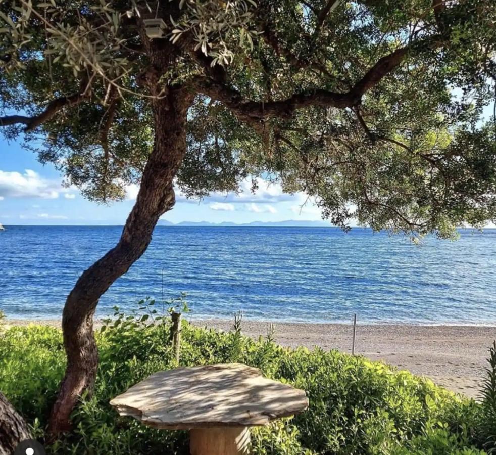 Dadya Villa 1 - Villa with private pool - 750m distance to the beach Datça Esterno foto
